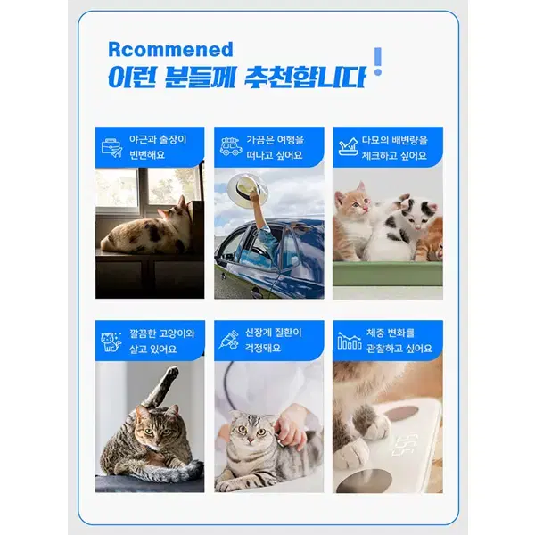 [렌탈]캣링크  스탠다드 고양이 자동화장실  (화이트)