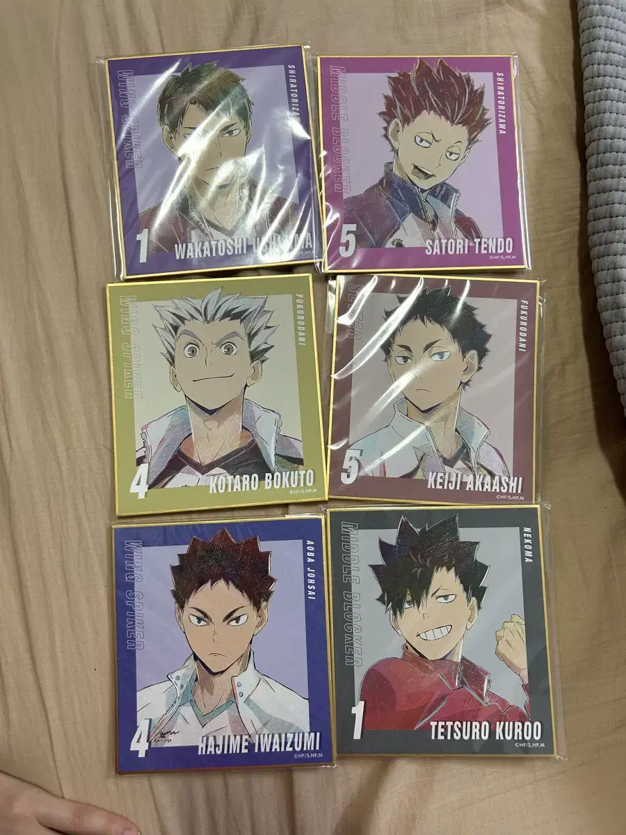 Haikyuu Ushijima Kuroo Bokuto Tendo Akaashi Iwaizumi Color Paper Goods