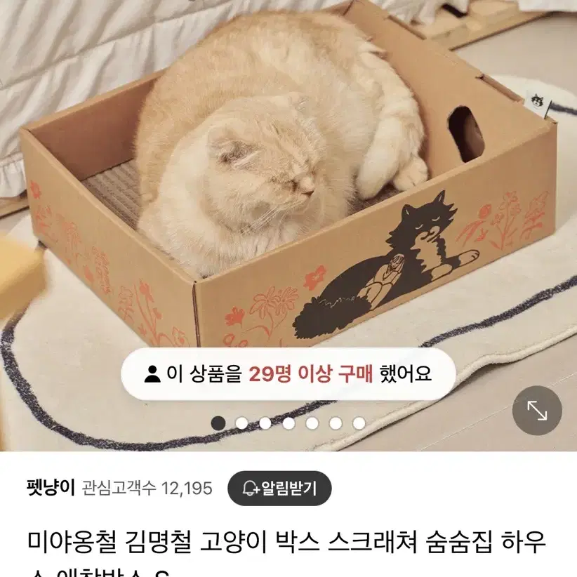 미야옹철 고양이 애착박스 S사이즈