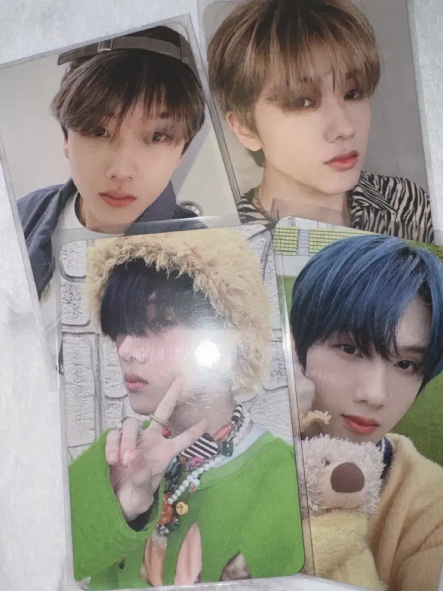 NCT Jisung photocard bulk WTS