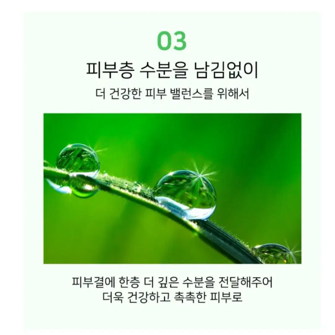 아이스 플랜트 토너(피부과전문제품:1000ml)대용량