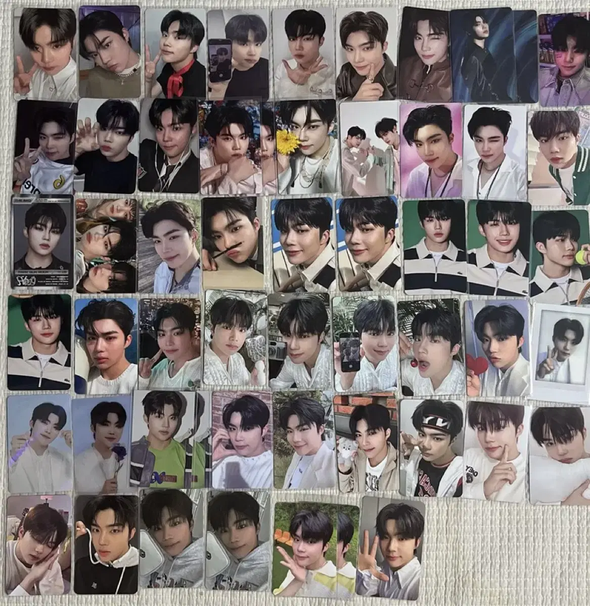 Quick sale)zb1 park gunwook alpo unreleased photocard dikon bringreen schoollands photocard bulk wts