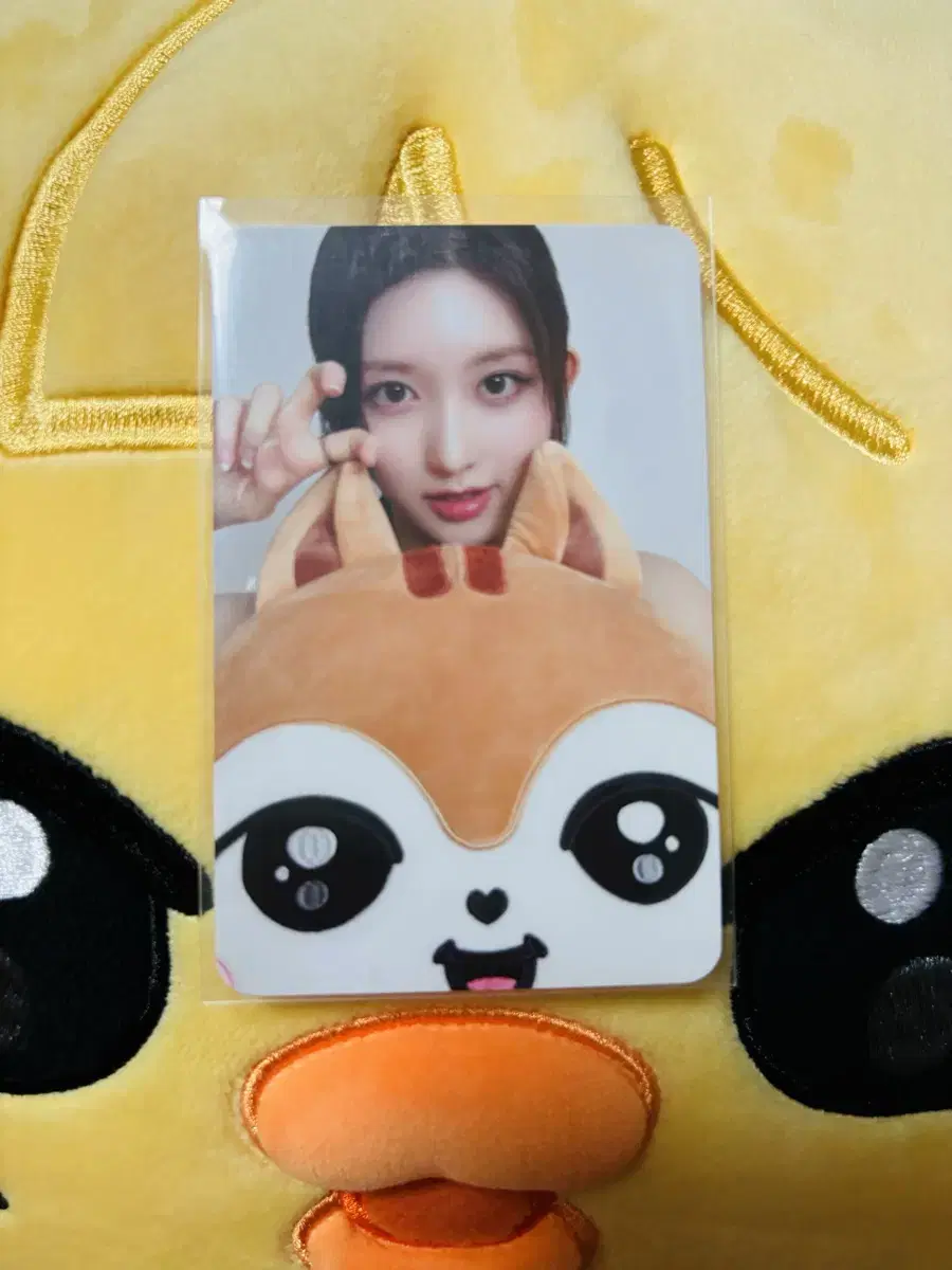 ive minive face cushion gaeul photocard I sell! yujin ray wonyoung leeseo