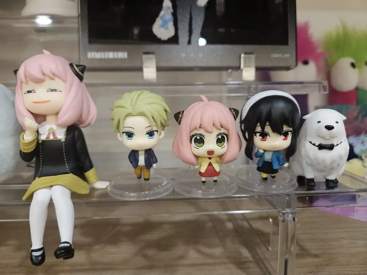 SPY FAMILY Gacha Figures full set + Anya Noodlestopper