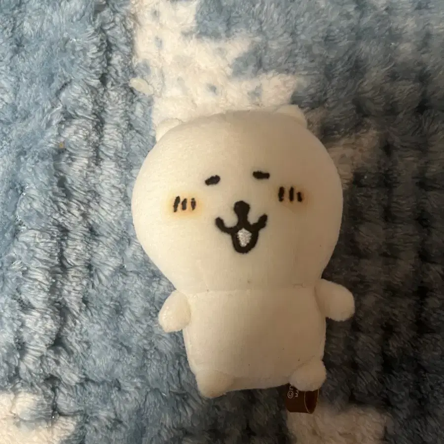 발그레곰