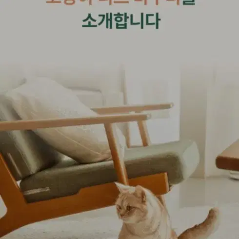 고양이 니트바구니