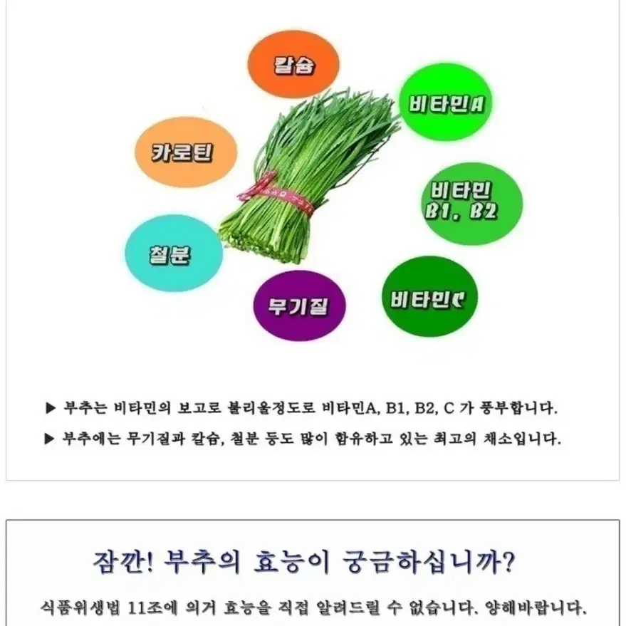 부추생즙