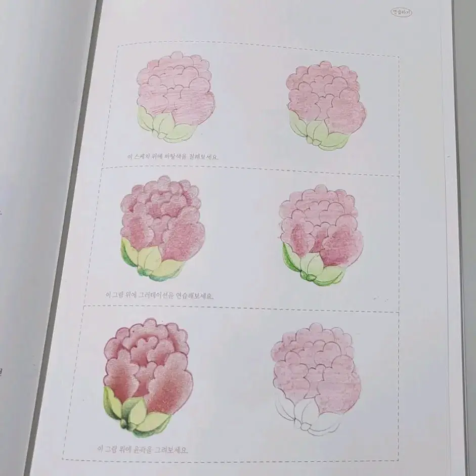 우리 민화 여름 컬러링북 & 색연필