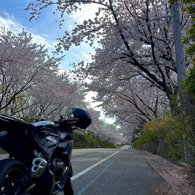 가격낮춤) 23년식 cbr500r 신차급 판매합니다.