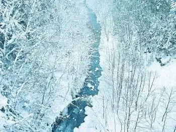 드하모니 안단테 하이 캔버스 사틴블루