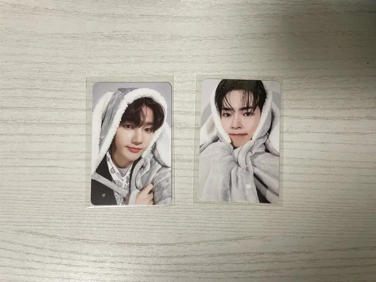 zerobaseone zb1 sung hanbin zhang hao bunny blanket photocard