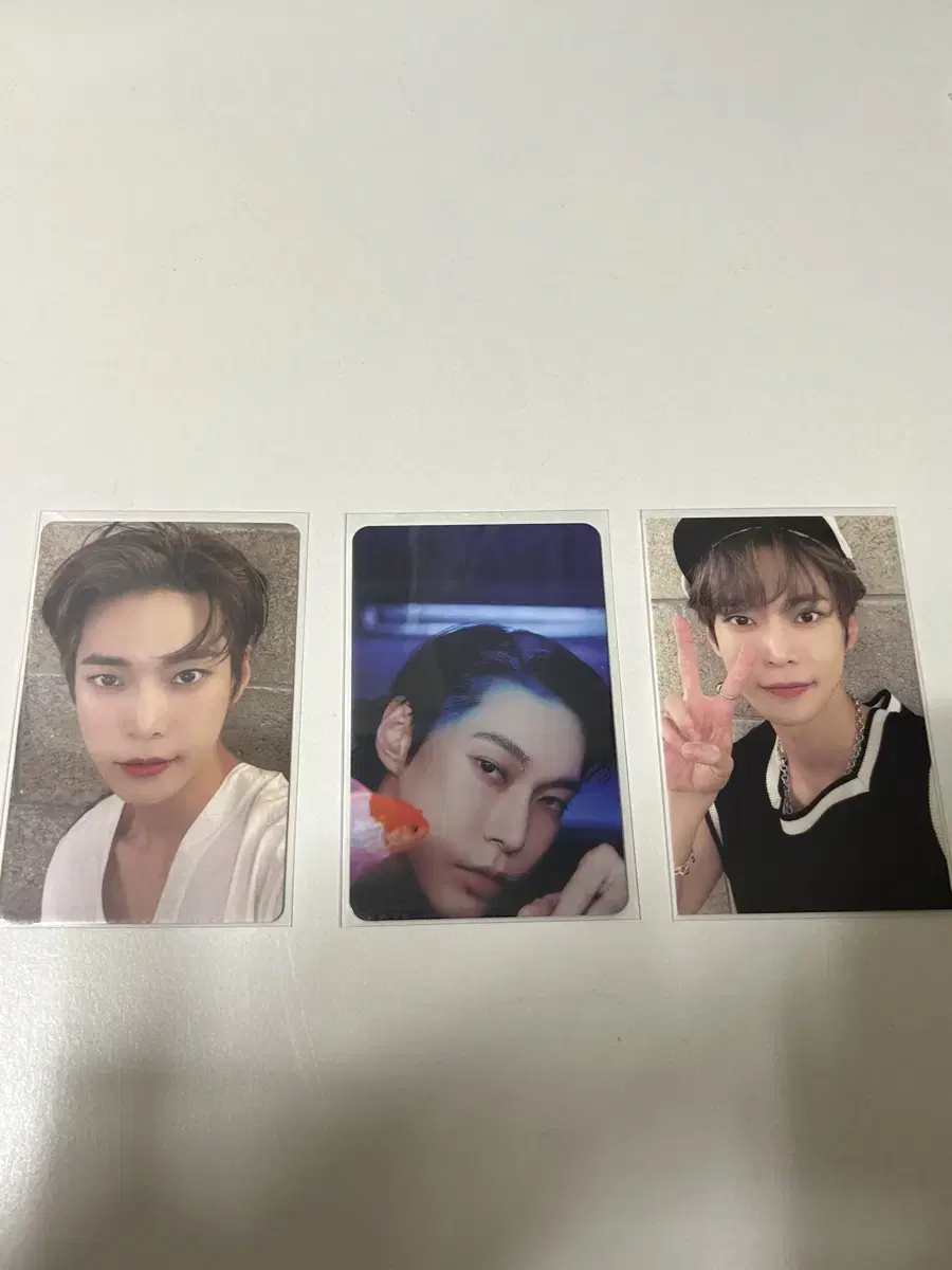 NCT doyoung photocard bulk WTS