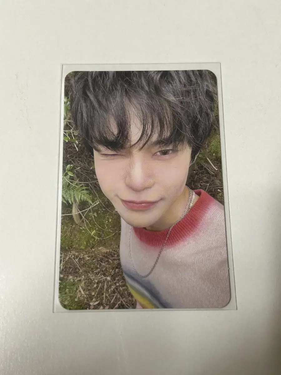 Froth of Youth doyoung photocard WTS