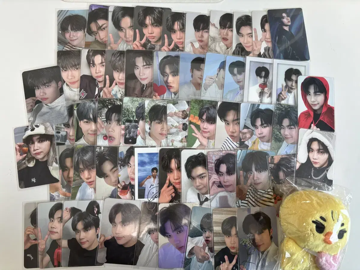 Park Gunwook photocard bulk sell 합니다(38장)+건꽼(원가20 이상)