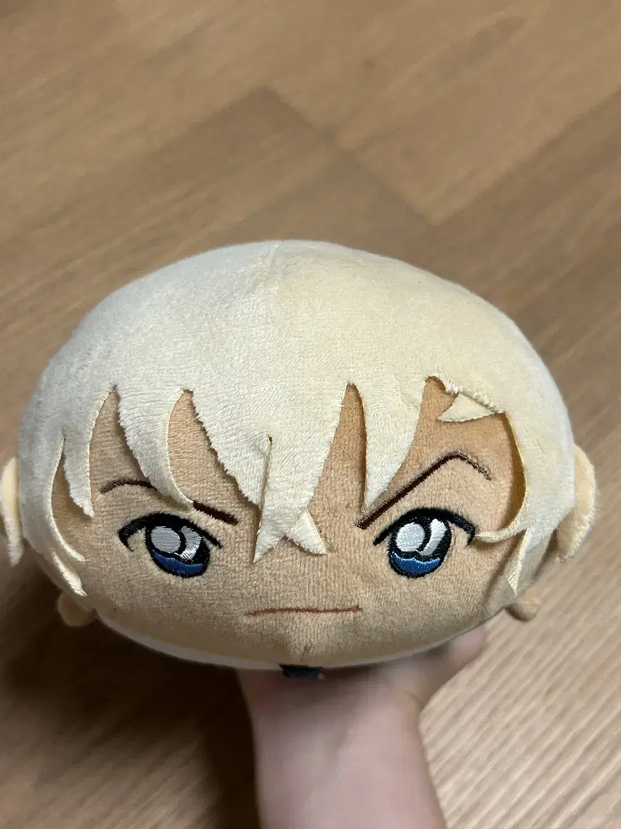 Detective Conan Amuro Mochimasu Sister Sells