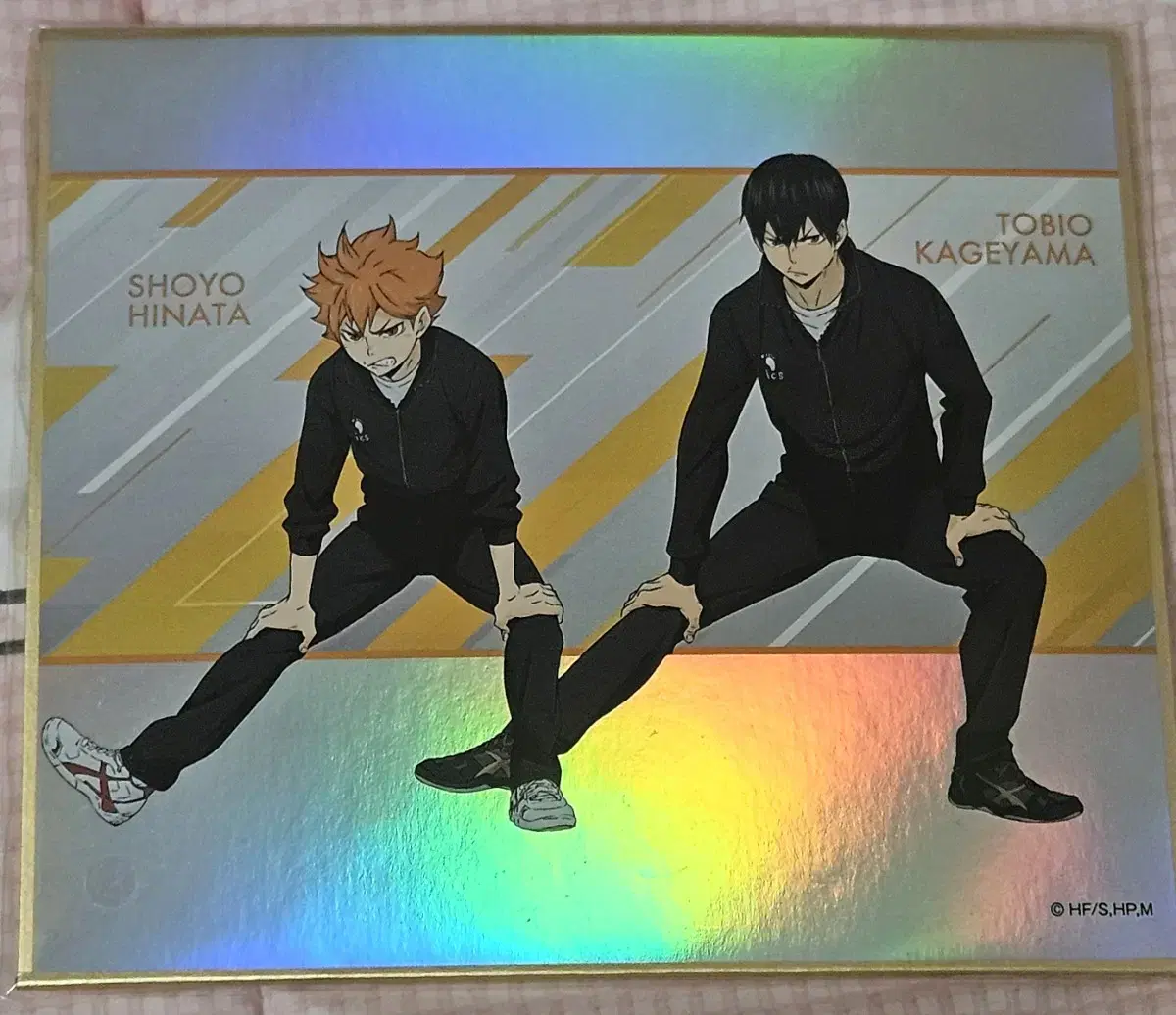 (disposal)Haikyuu warm-up color paper