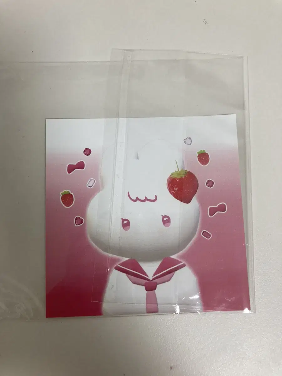 Bunny Keeper Strawberry binder Earth Cover