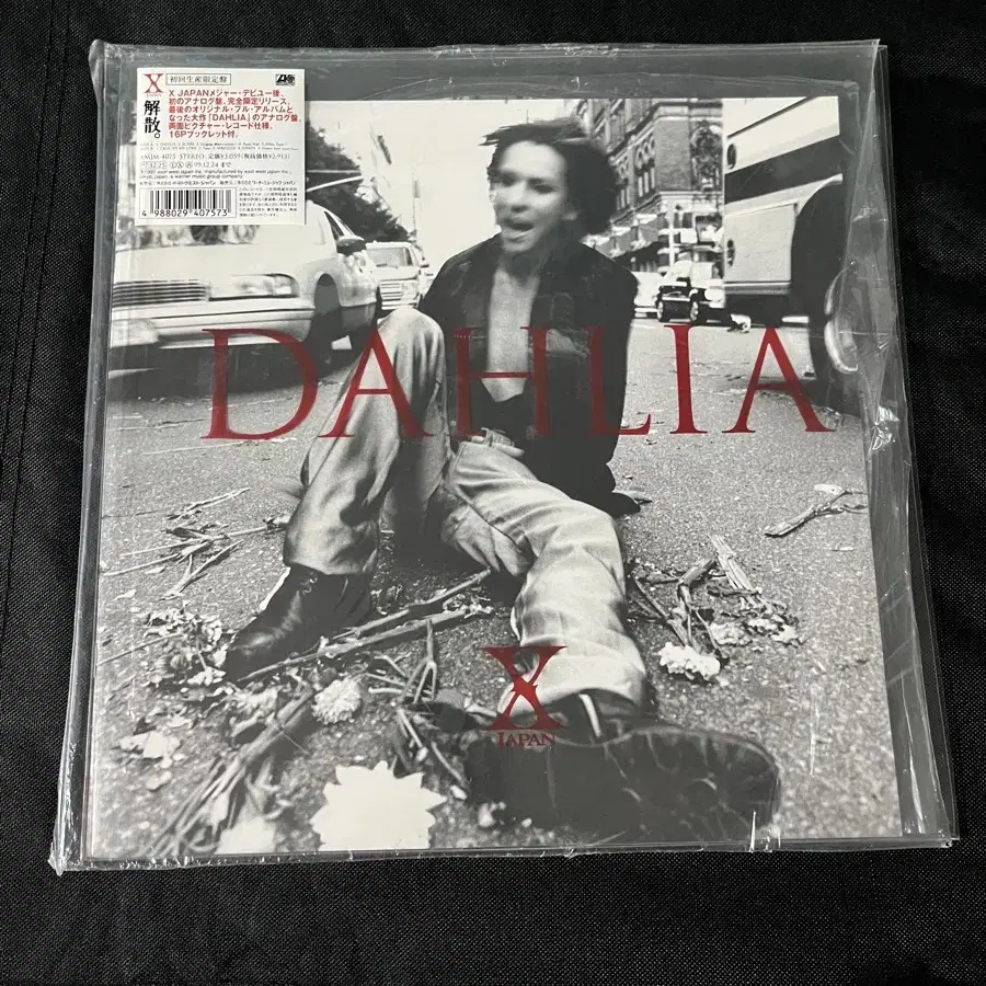 DAHLIA -X JAPAN 판매합니다.