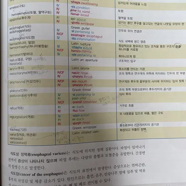 필수 의학용어 medical language