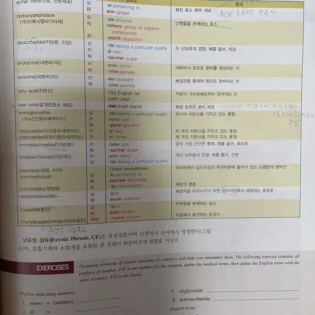 필수 의학용어 medical language