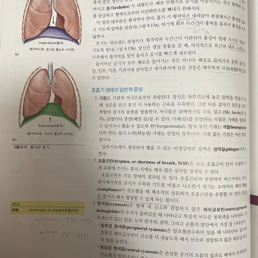 필수 의학용어 medical language