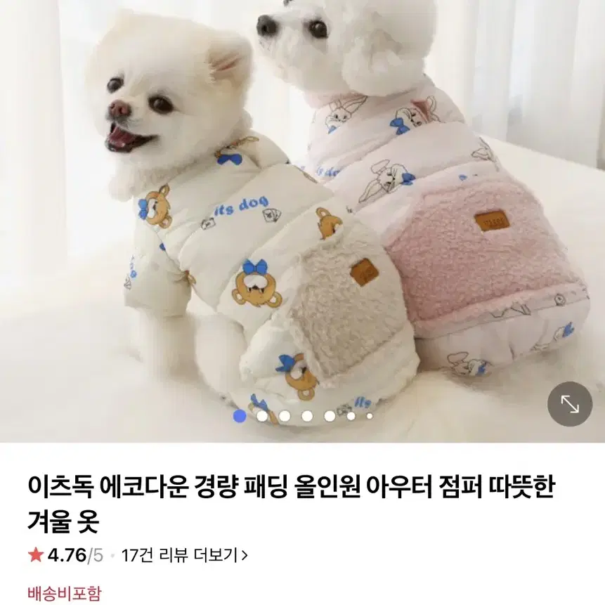 잇츠독 강아지 패딩과 오가닉 베넷옷