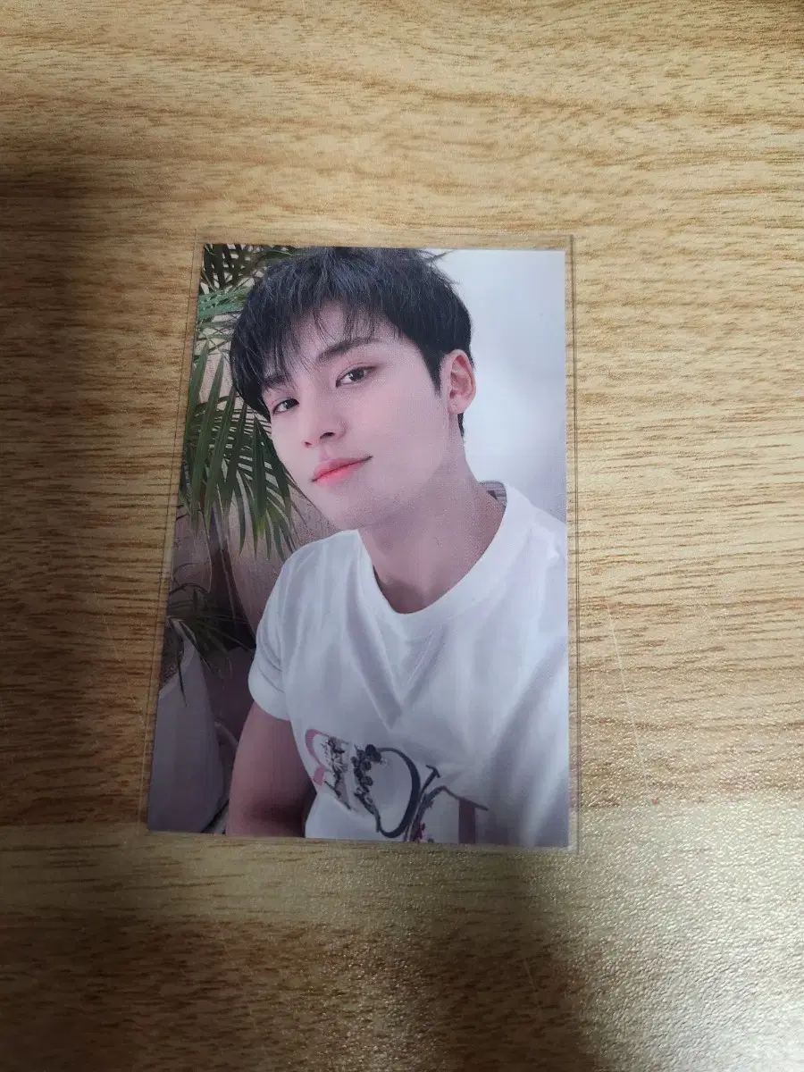 seventeen mingyu your choice applemusic photocard I'm transferring wts to you Yonla