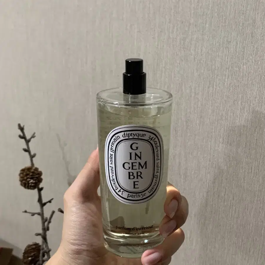 딥디크 진젬브레 실내 스프레이 150ml