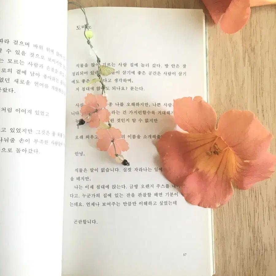 연록 능소화 연꽃 스트랩 양도 구해요