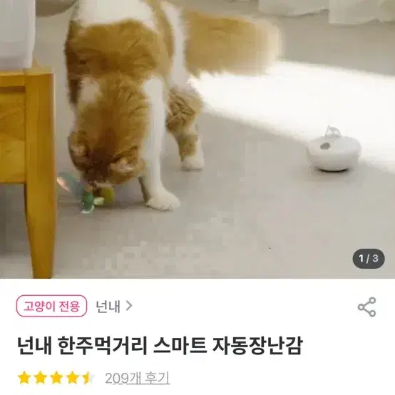 넌 내 한주먹거리 고양이 자동장난감