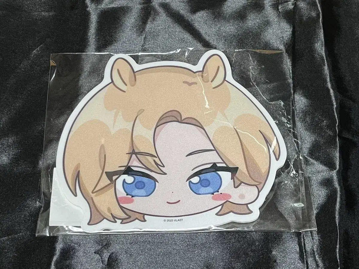 Plaves photocard Merch wts Blanket keyring