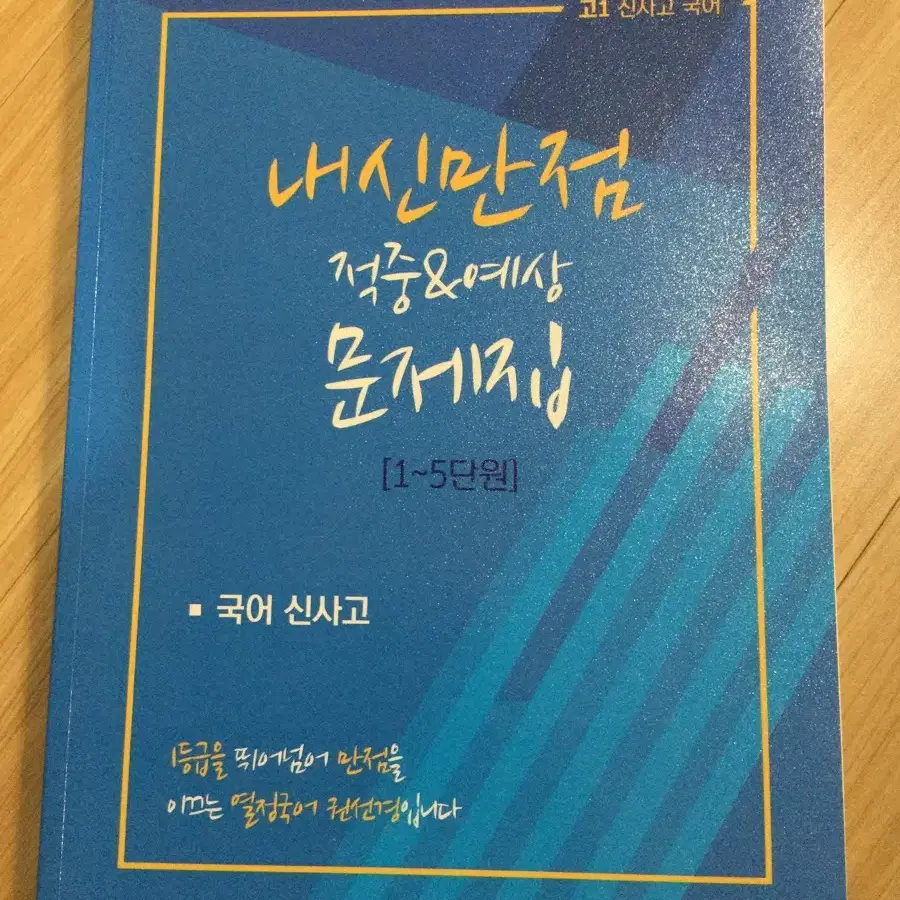 고1 신사고 국어 내신 문제집