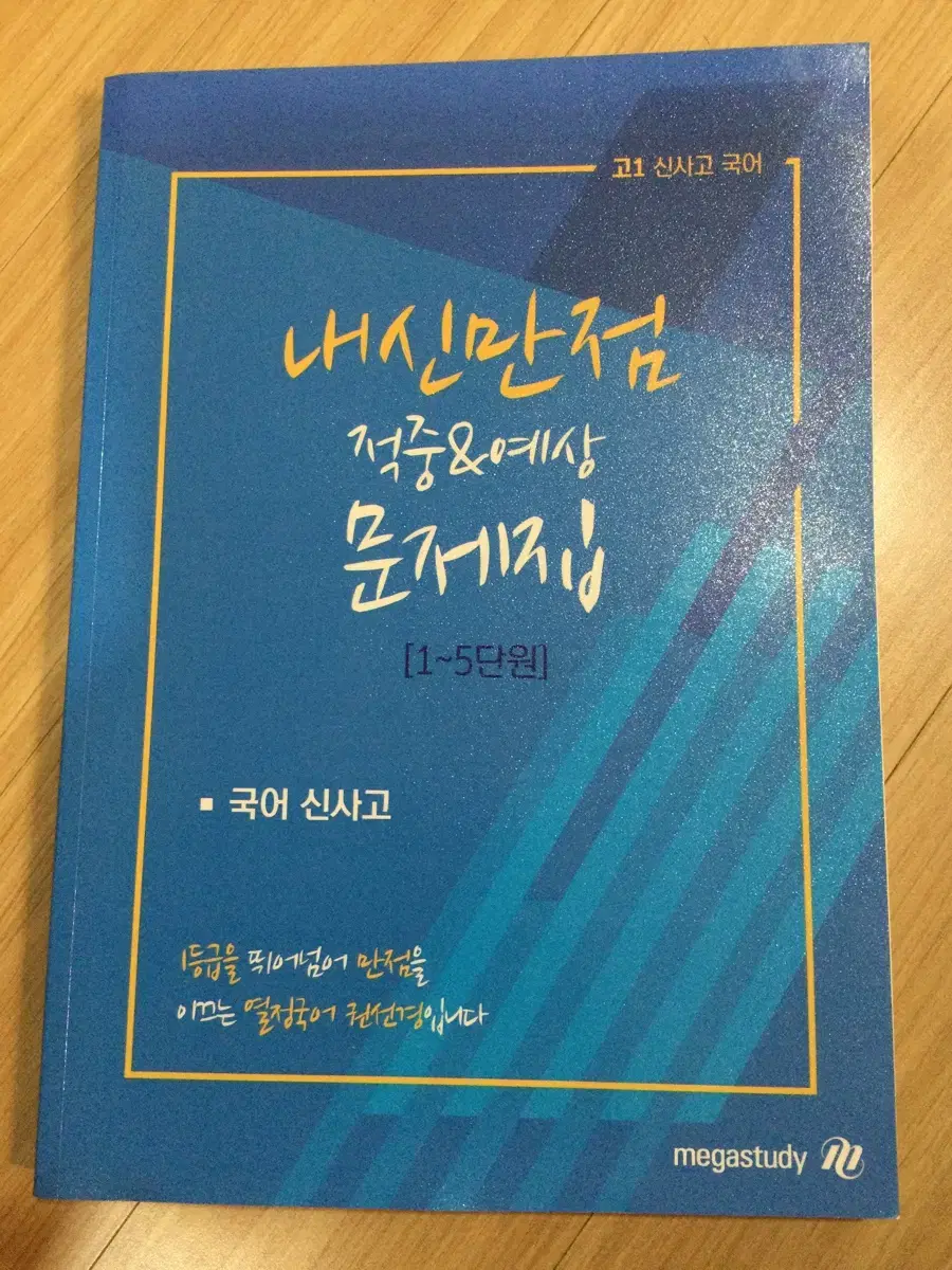 고1 신사고 국어 내신 문제집