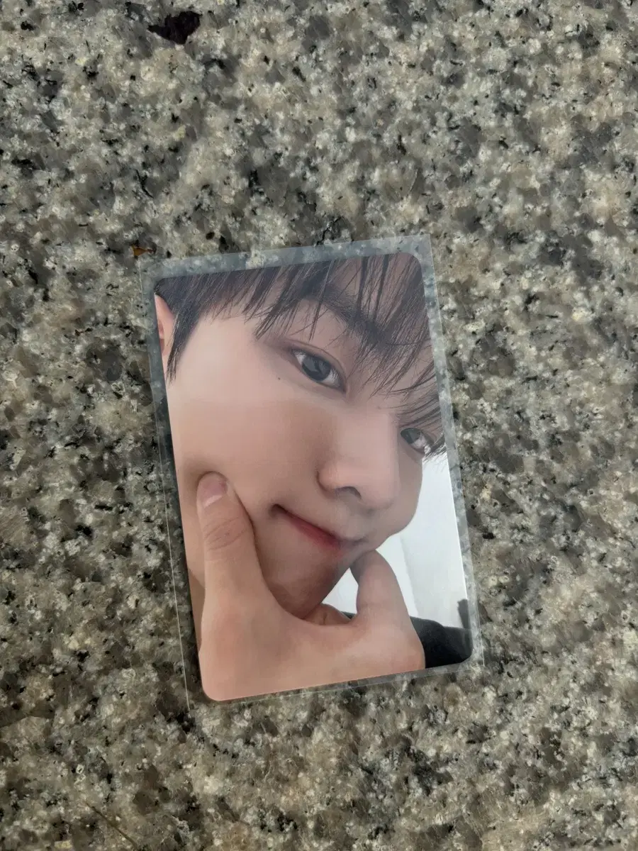 q 5만원포카한정 photocard 현재포카홀더인형 md