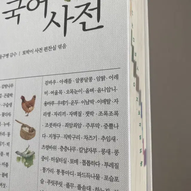 보리 국어사전