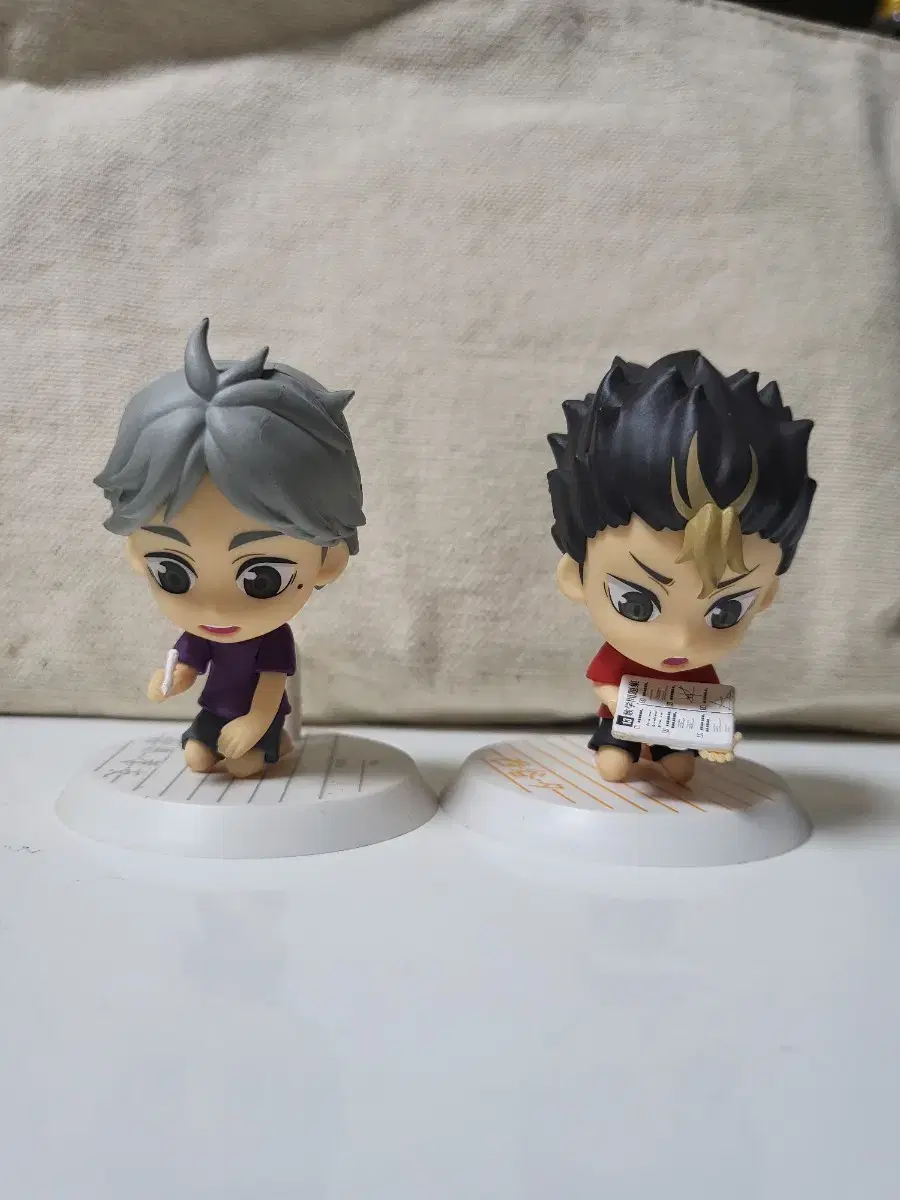 Haikyuu Chibikyung Suganoya