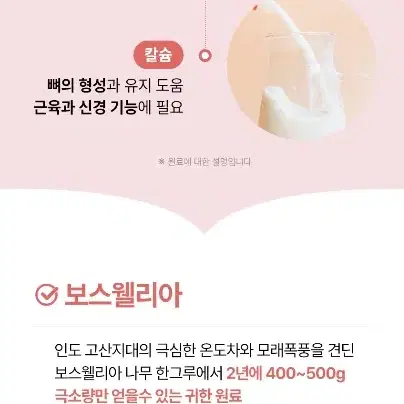 펫생각 스트롱칼슘 강아지 관절 영양제 슬개골 디스크 연골 근력 탈구 노견