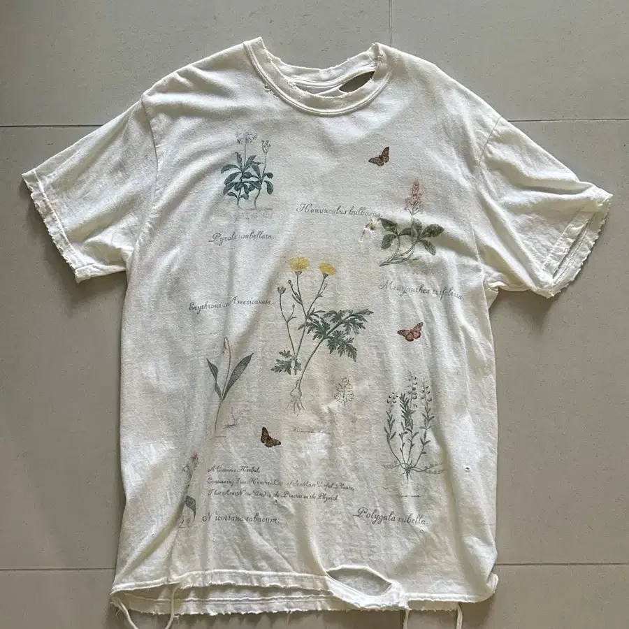 안셀름 BOTANICAL T-SHIRT(WHITE) [1]