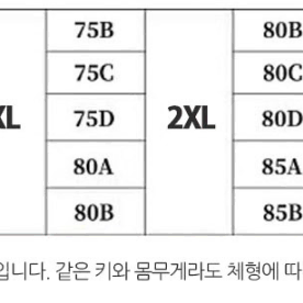 원 플러스 원 총 2장 일괄  메쉬 고퀄리티 노와이어 심리스