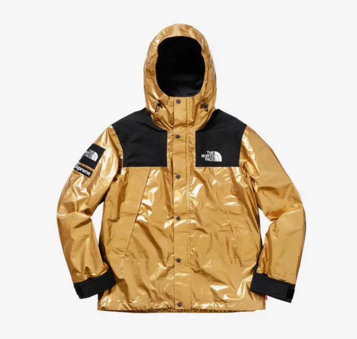 [M] Supreme x The North Face Metallic Mountain Parka Gold - 18SS