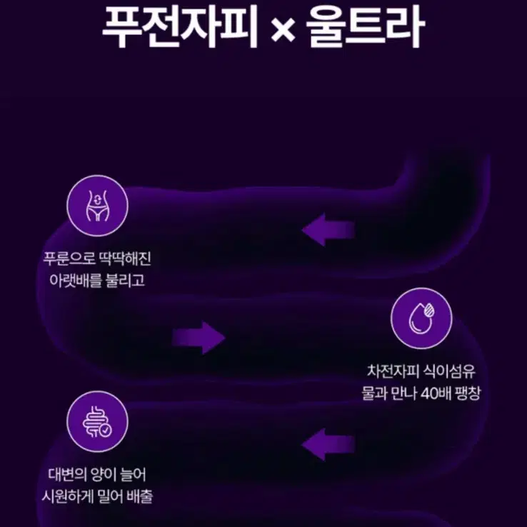 닥터푸룬 푸전자피 울트라 푸룬 환