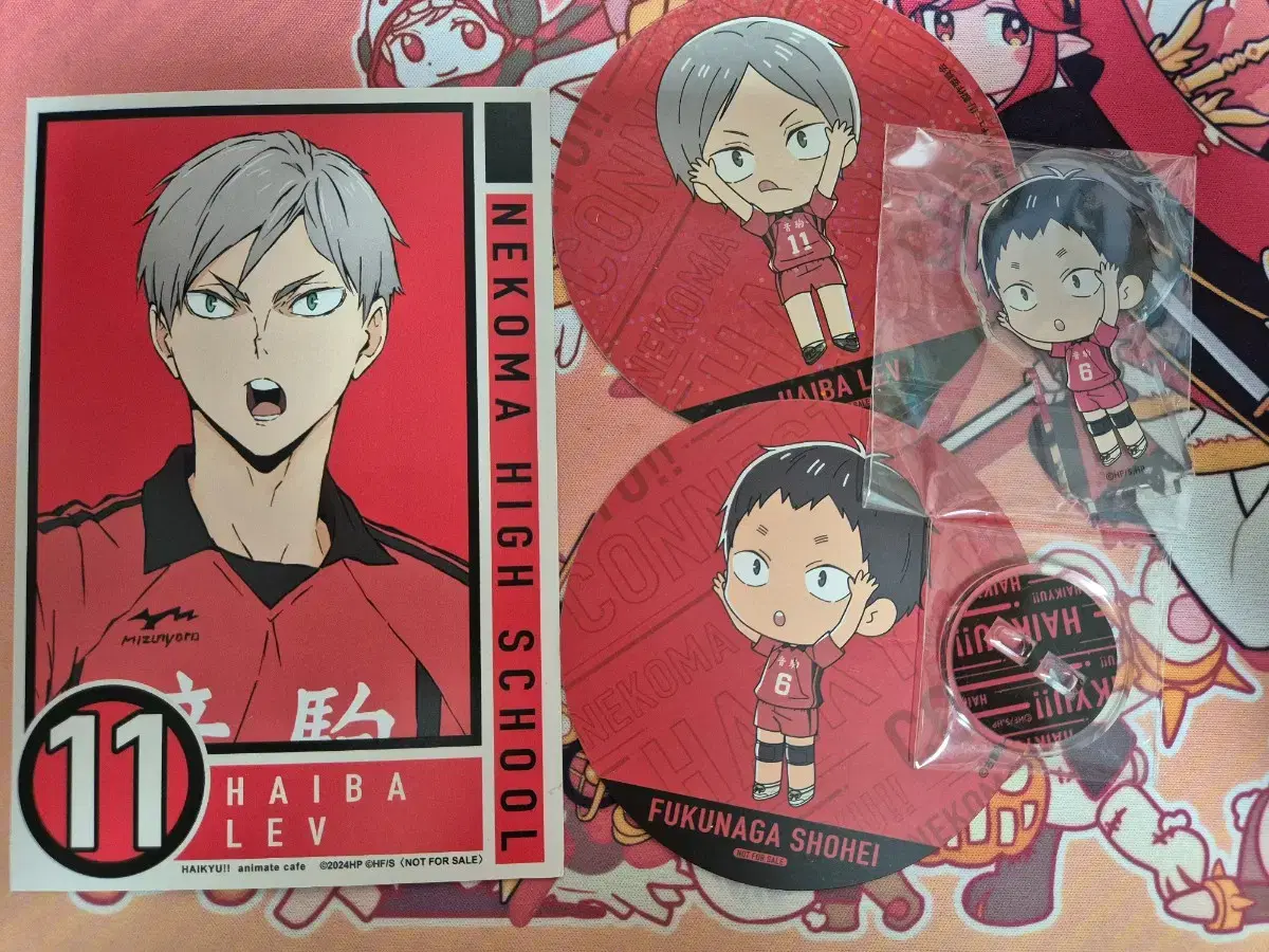 Haikyuu Animate Collaboration Café Fukunaga Acrylic Stand+Photo Paper goodsIncluded