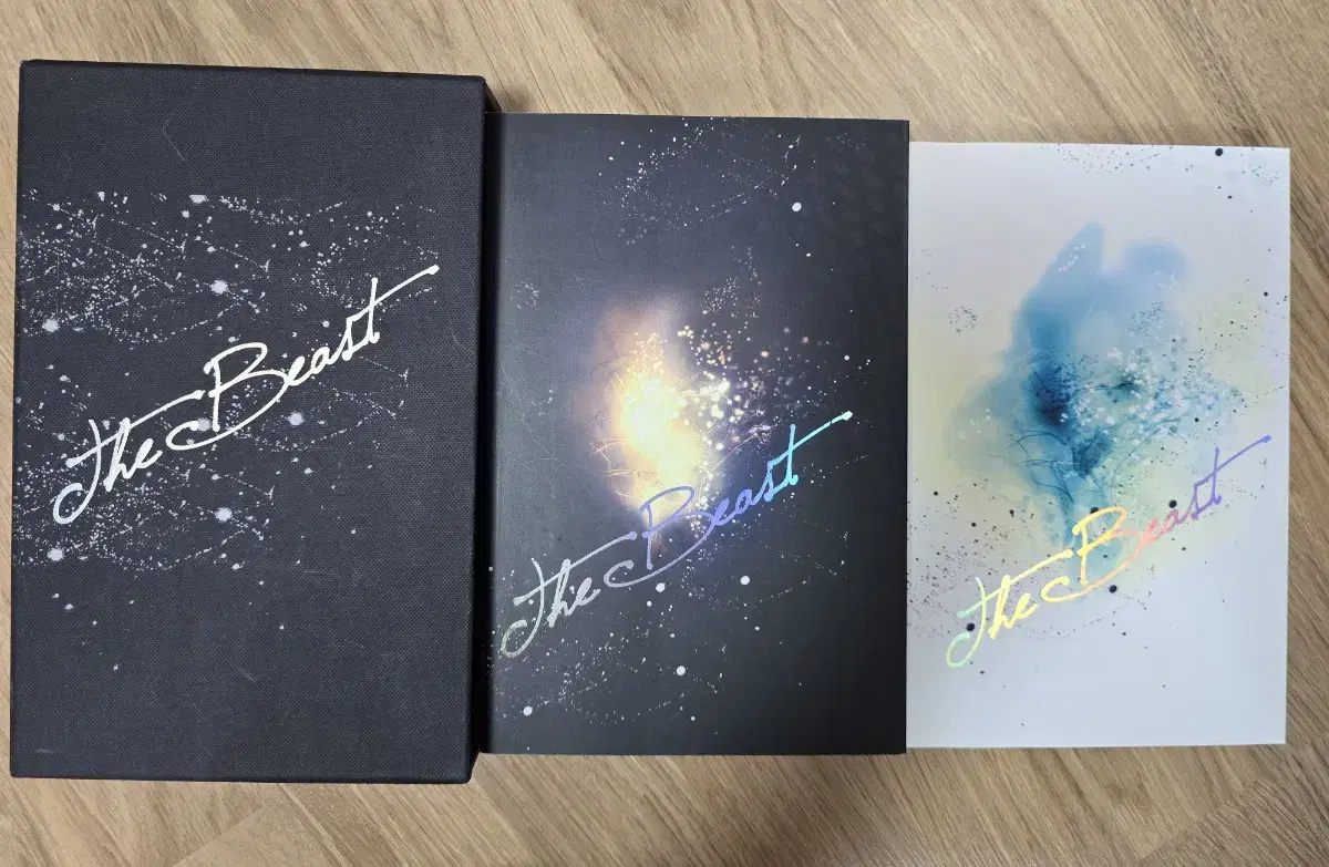 shinee fanbooks among the beast