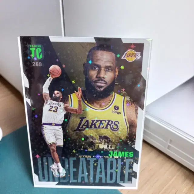 파니니 탑클래스 언비터블 르브론 제임스 (LeBron James)