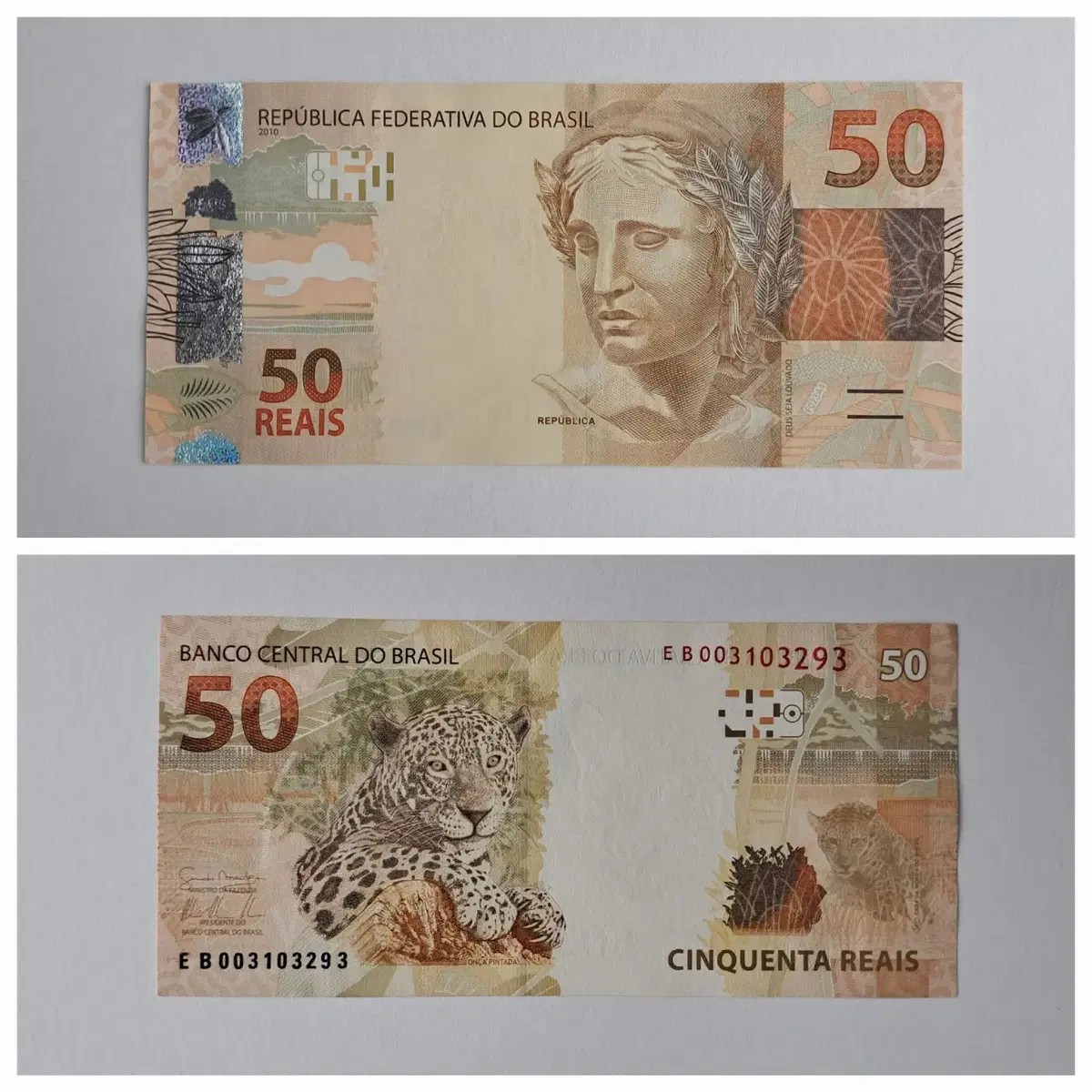 Brazilian Banknote