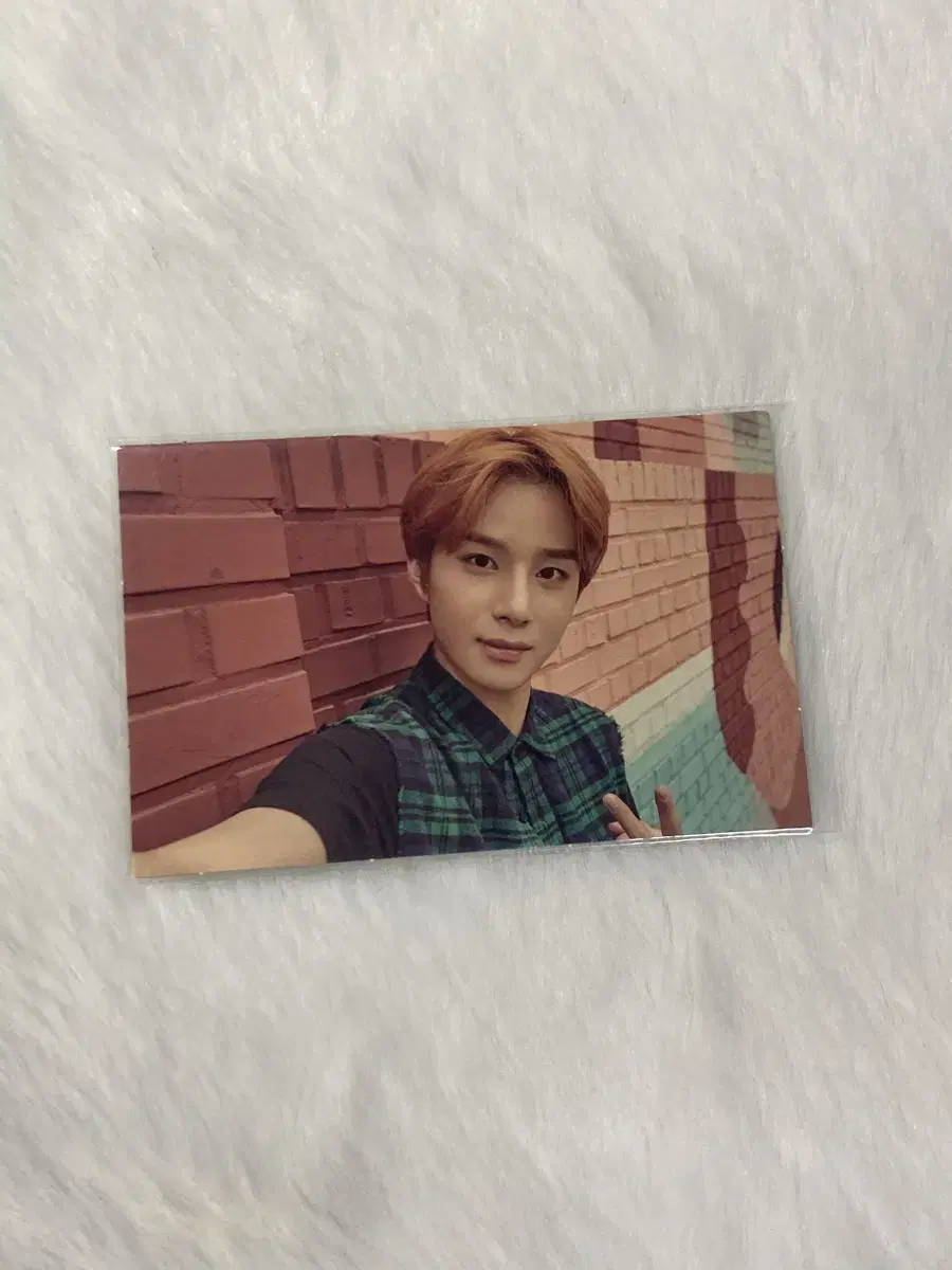 nct127 일칠 안녕서울 jungwoo photocard wts