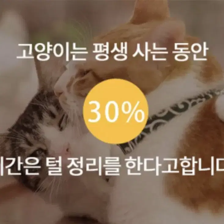 고양이 브러쉬 스크래쳐