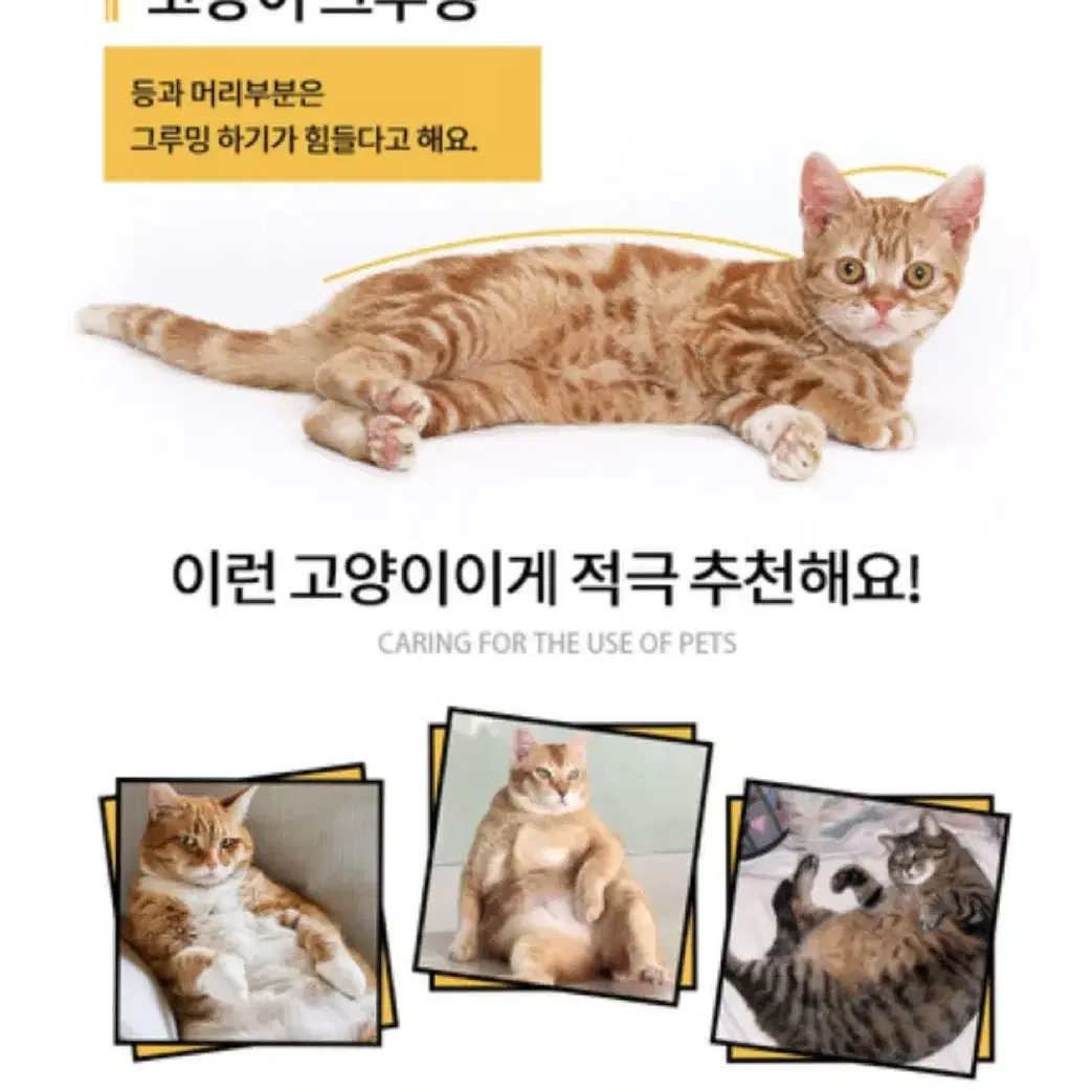 고양이 브러쉬 스크래쳐