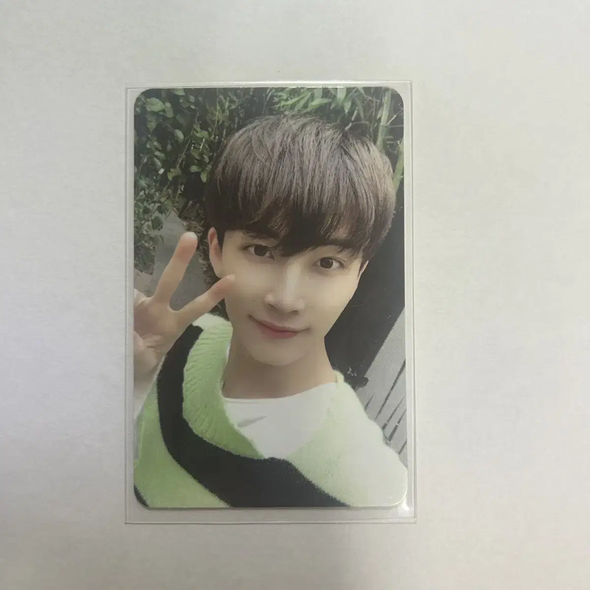 One jeonghan rinse photocard wts