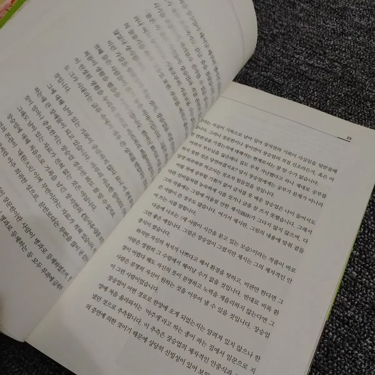 신선이 되고 싶은 화가 장승업 미술 문화 예술 도서 책